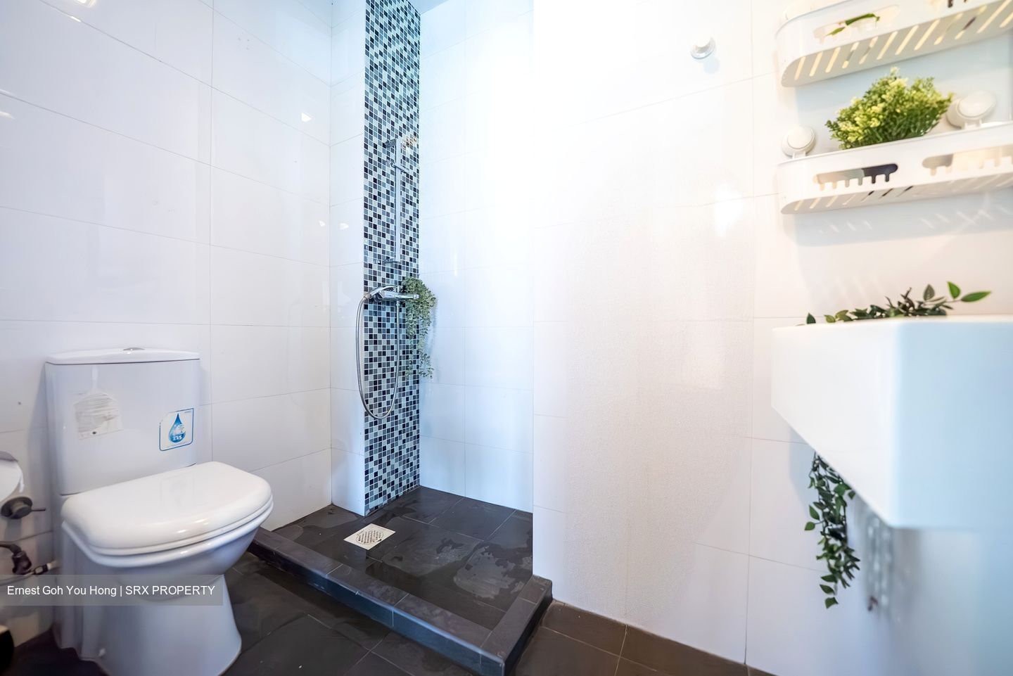 Opal Suites (D12), Apartment #602471801
